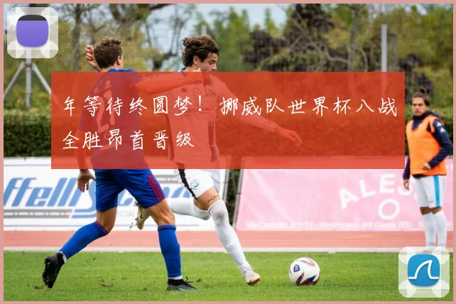 年等待终圆梦!挪威队世界杯八战全胜昂首晋级